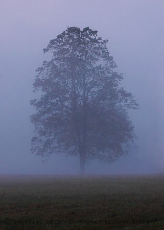 Cades Cove, Smoky Mountain National Park, TN