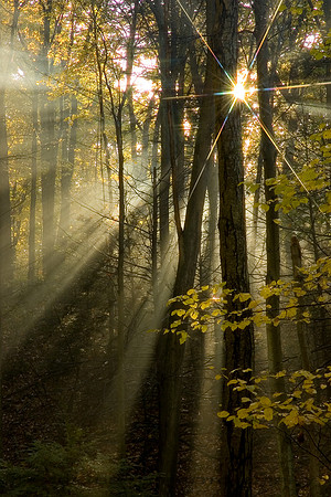 Tucquan Glen Nature Preserve