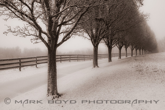 Snow covered farm lane, Conestoga, PA