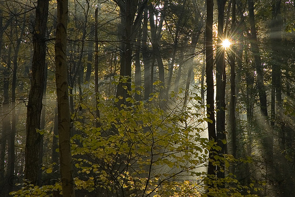 Tucquan Glen Nature Preserve