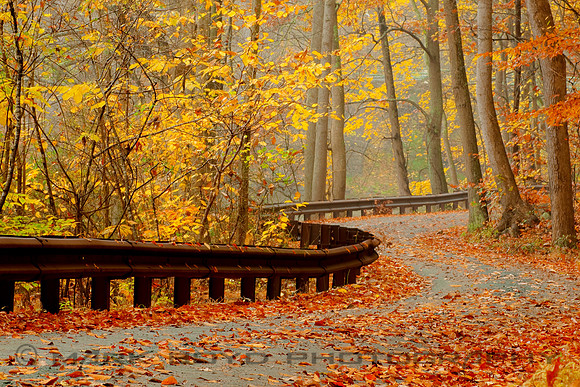 Susquehanna State Park, MD