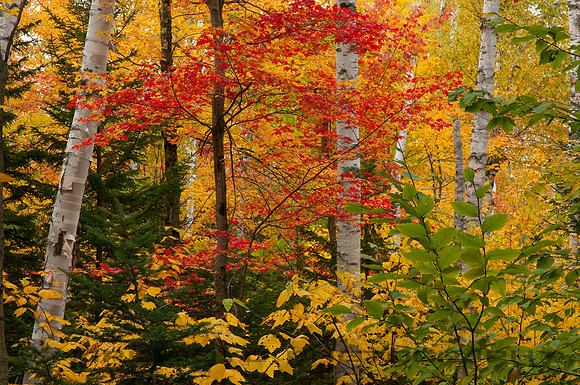 White Mountains, NH