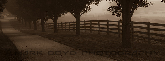 Farm lane, Conestoga, PA