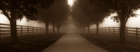 Farm lane, Conestoga, PA